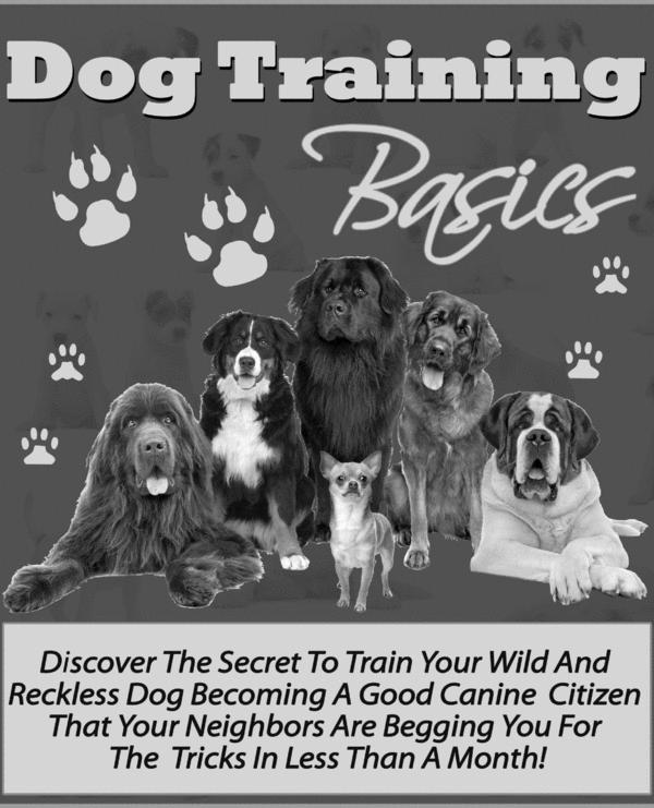 Product picture Dog Training Basics